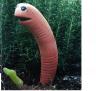 worm1.jpg