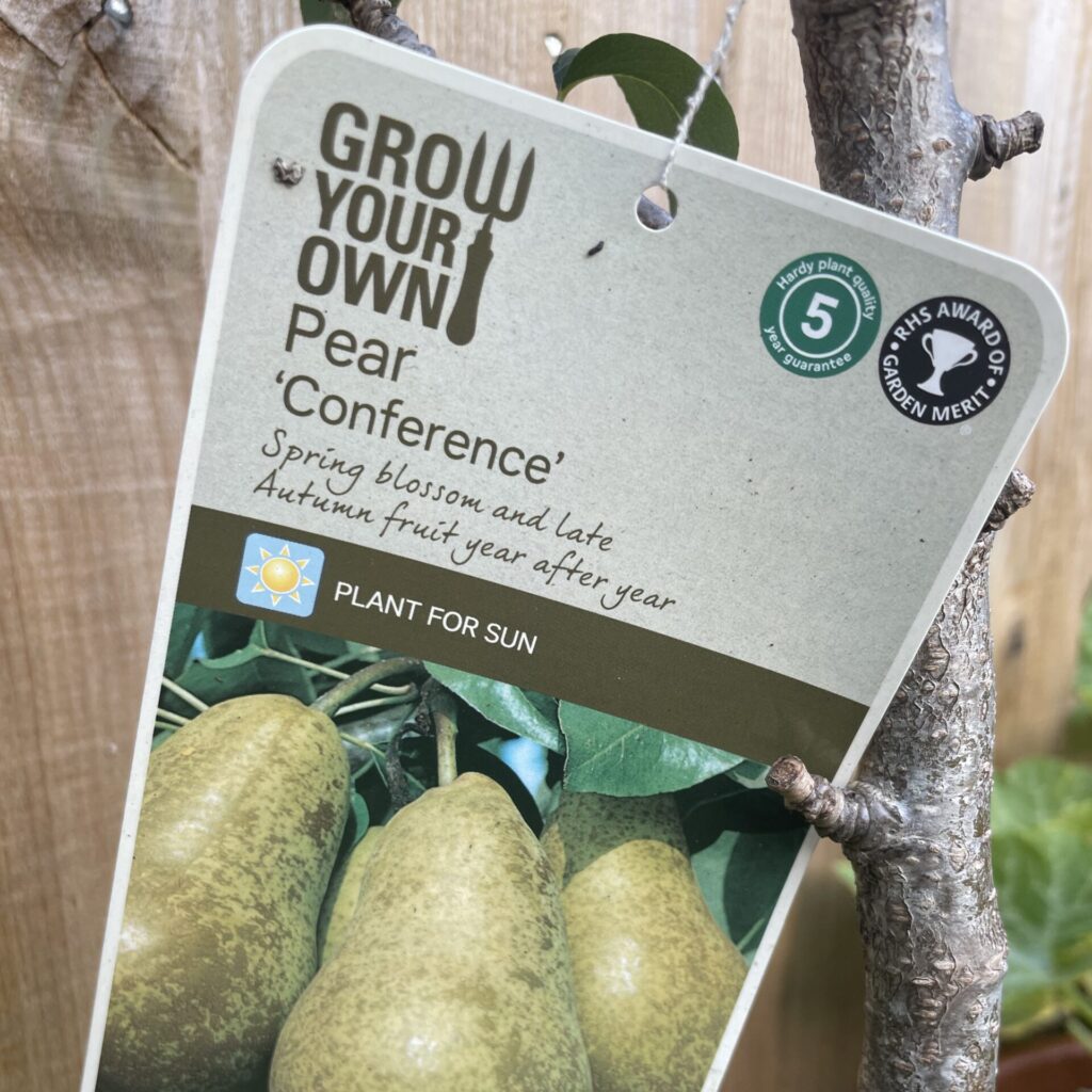Grow your own Pear Conference